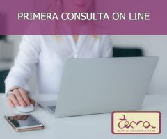 Primera consulta on line