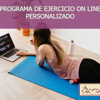 Programa de ejercicios on line personalizado
