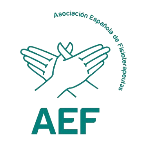 Asociación Española de Fisioterapeutas Asociación Española de Fisioterapeutas