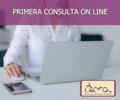 Primera consulta on line Primera consulta on line