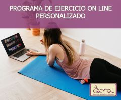 Programa de ejercicios on line personalizado Programa de ejercicios on line personalizado