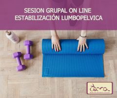 Sesiones grupales mensuales on line de Estabilización Lumbo-pélvica Sesiones grupales mensuales on line de Estabilización Lumbo-pélvica